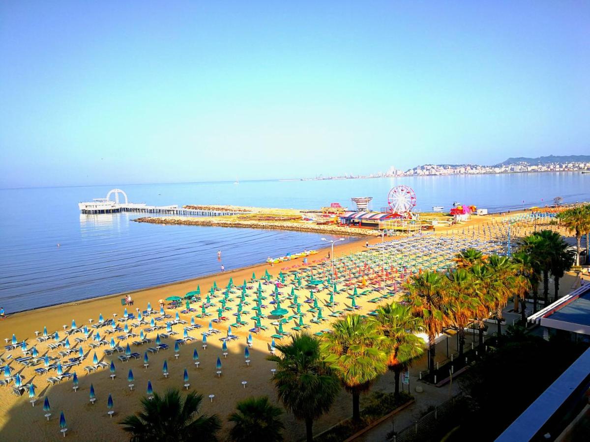 Turtle * Durrës